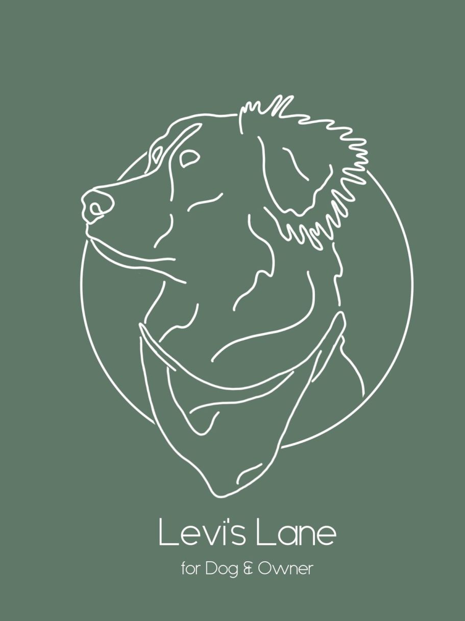 Levi's Lane